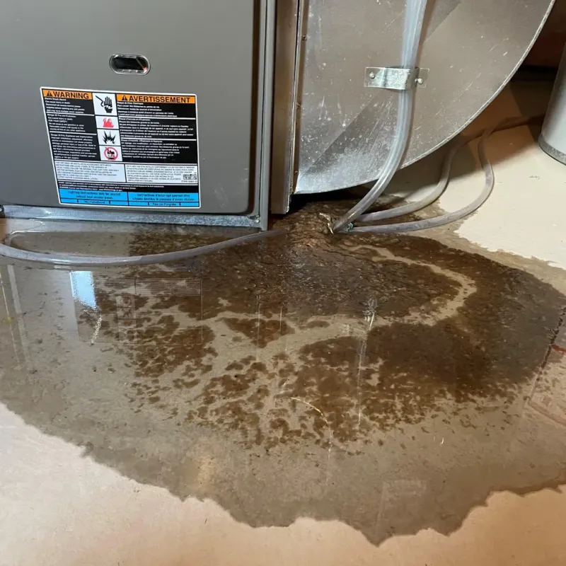 Appliance Leak Cleanup in Ahuimanu, HI