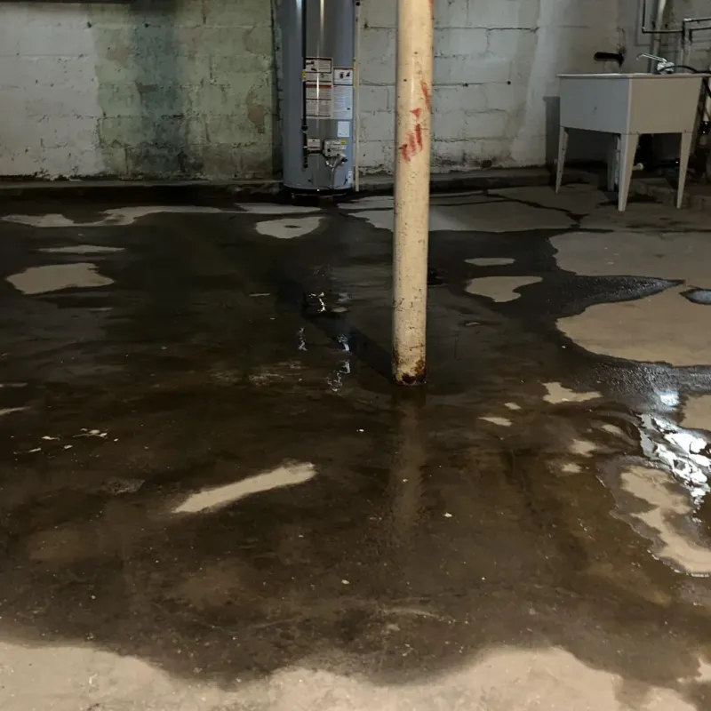 Emergency Water Extraction And Removal in Ahuimanu, HI